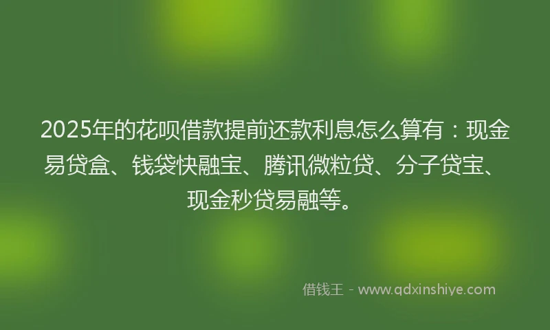 2025年的花呗借款提前还款利息怎么算有：现金易贷盒、钱袋快融宝、腾讯微粒贷、分子贷宝、现金秒贷易融等。