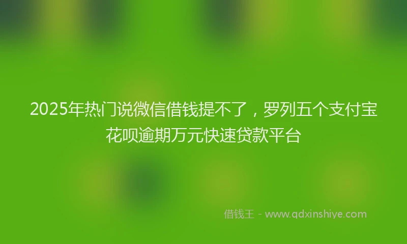 2025年热门说微信借钱提不了，罗列五个支付宝花呗逾期万元快速贷款平台