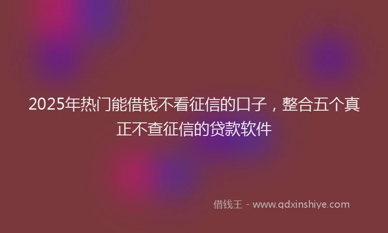 2025年热门能借钱不看征信的口子，整合五个真正不查征信的贷款软件