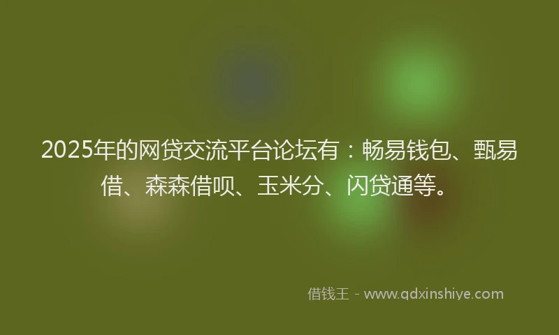2025年的网贷交流平台论坛有：畅易钱包、甄易借、森森借呗、玉米分、闪贷通等。