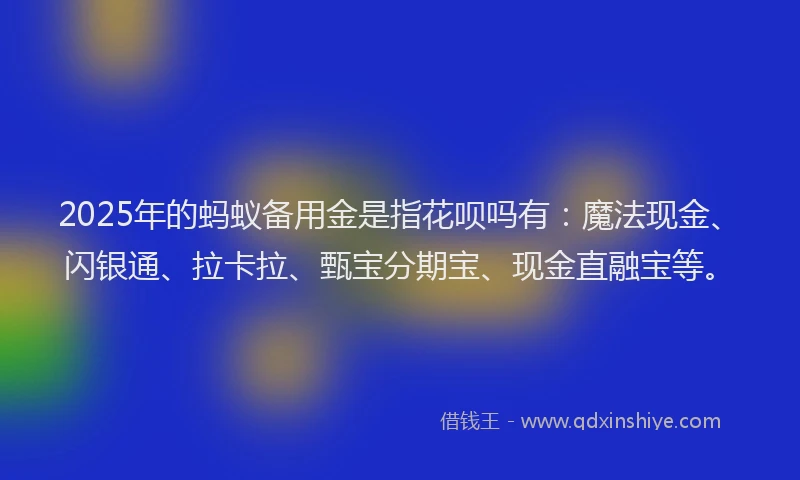 2025年的蚂蚁备用金是指花呗吗有：魔法现金、闪银通、拉卡拉、甄宝分期宝、现金直融宝等。