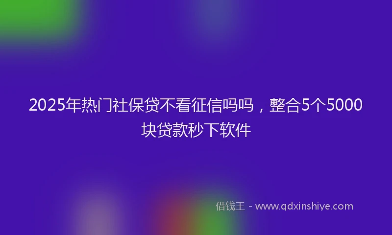 2025年热门社保贷不看征信吗吗，整合5个5000块贷款秒下软件