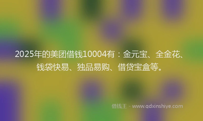 2025年的美团借钱10004有：金元宝、全金花、钱袋快易、独品易购、借贷宝盒等。