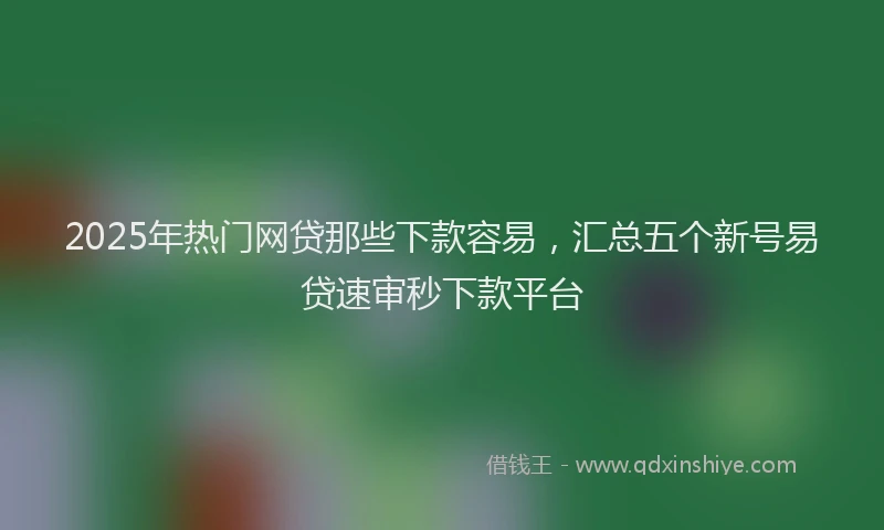 2025年热门网贷那些下款容易，汇总五个新号易贷速审秒下款平台