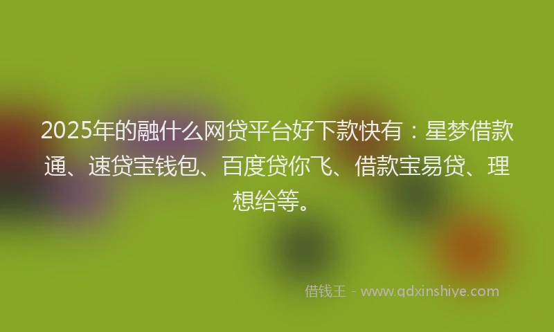 2025年的融什么网贷平台好下款快有：星梦借款通、速贷宝钱包、百度贷你飞、借款宝易贷、理想给等。