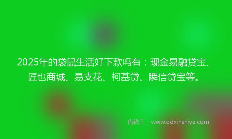 2025年的袋鼠生活好下款吗有：现金易融贷宝、匠也商城、易支花、柯基贷、瞬信贷宝等。