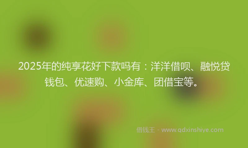 2025年的纯享花好下款吗有：洋洋借呗、融悦贷钱包、优速购、小金库、团借宝等。