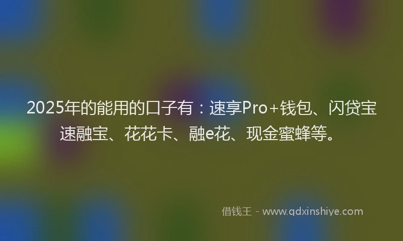2025年的能用的口子有：速享Pro+钱包、闪贷宝速融宝、花花卡、融e花、现金蜜蜂等。