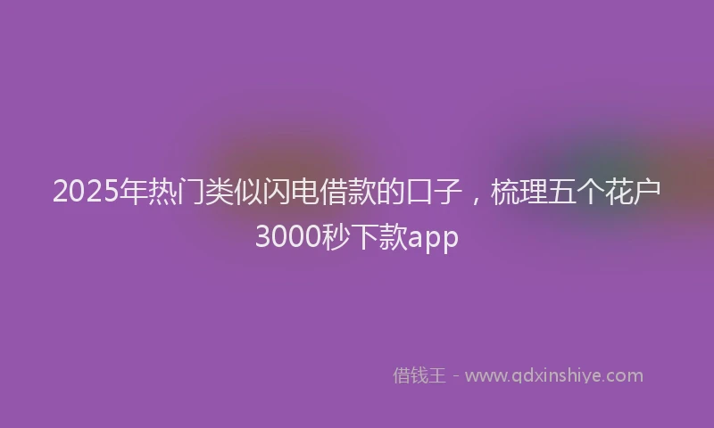 2025年热门类似闪电借款的口子，梳理五个花户3000秒下款app