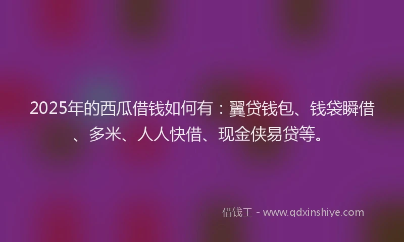 2025年的西瓜借钱如何有：翼贷钱包、钱袋瞬借、多米、人人快借、现金侠易贷等。