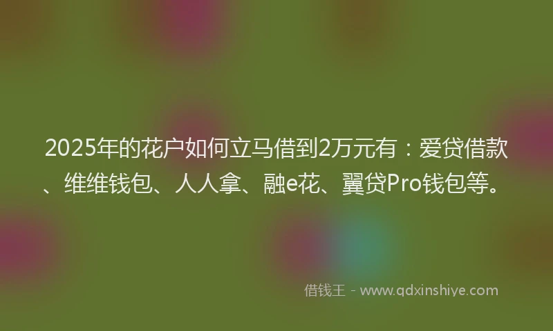 2025年的花户如何立马借到2万元有：爱贷借款、维维钱包、人人拿、融e花、翼贷Pro钱包等。