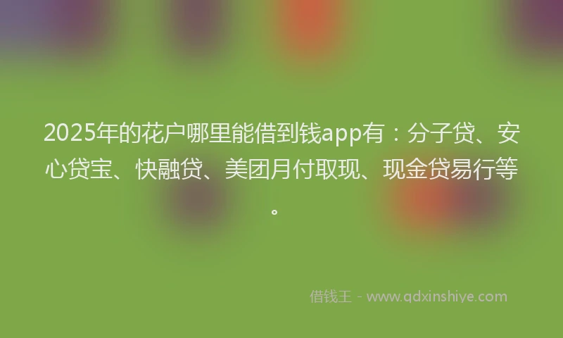 2025年的花户哪里能借到钱app有：分子贷、安心贷宝、快融贷、美团月付取现、现金贷易行等。