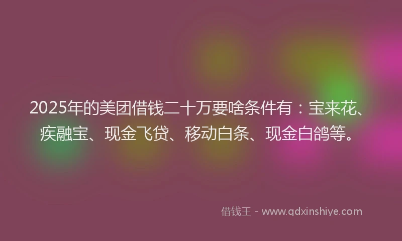 2025年的美团借钱二十万要啥条件有：宝来花、疾融宝、现金飞贷、移动白条、现金白鸽等。