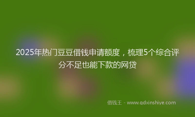 2025年热门豆豆借钱申请额度，梳理5个综合评分不足也能下款的网贷