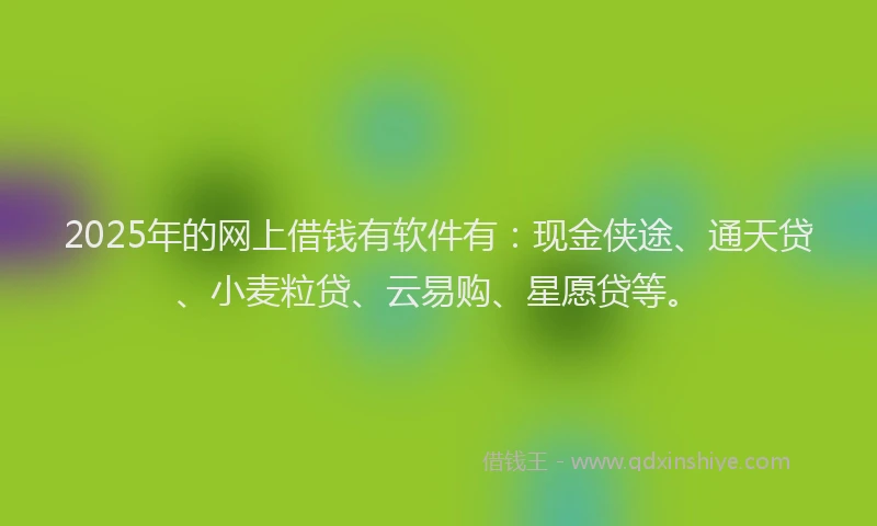 2025年的网上借钱有软件有：现金侠途、通天贷、小麦粒贷、云易购、星愿贷等。