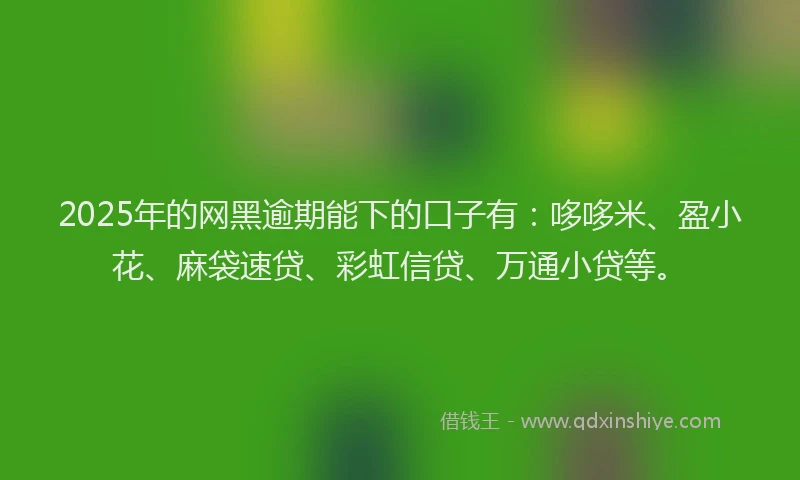 2025年的网黑逾期能下的口子有：哆哆米、盈小花、麻袋速贷、彩虹信贷、万通小贷等。