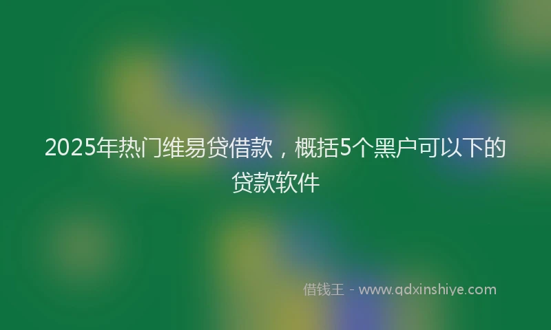 2025年热门维易贷借款，概括5个黑户可以下的贷款软件