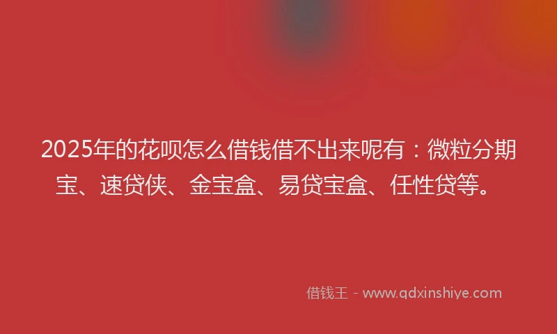 2025年的花呗怎么借钱借不出来呢有：微粒分期宝、速贷侠、金宝盒、易贷宝盒、任性贷等。