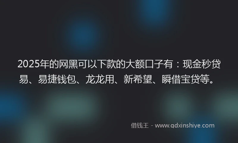 2025年的网黑可以下款的大额口子有：现金秒贷易、易捷钱包、龙龙用、新希望、瞬借宝贷等。