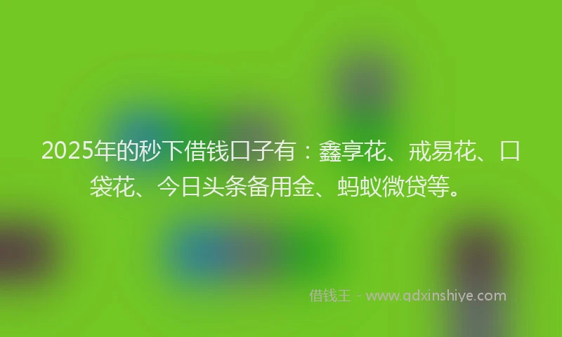 2025年的秒下借钱口子有：鑫享花、戒易花、口袋花、今日头条备用金、蚂蚁微贷等。