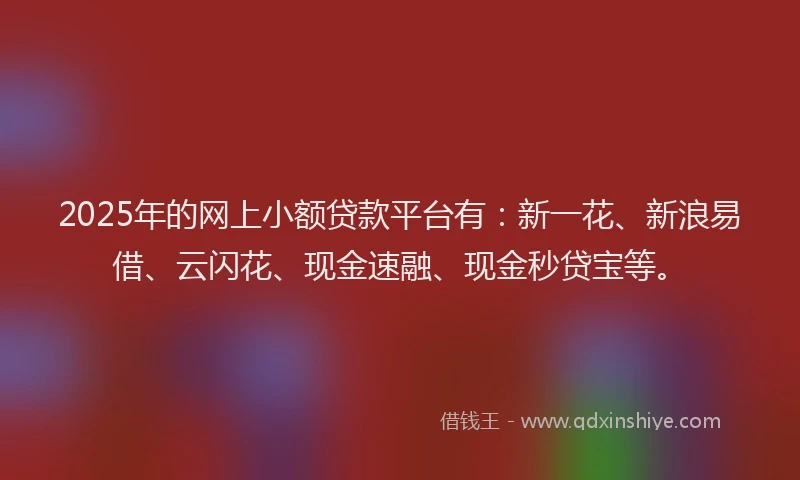2025年的网上小额贷款平台有：新一花、新浪易借、云闪花、现金速融、现金秒贷宝等。