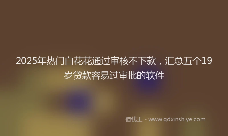 2025年热门白花花通过审核不下款，汇总五个19岁贷款容易过审批的软件