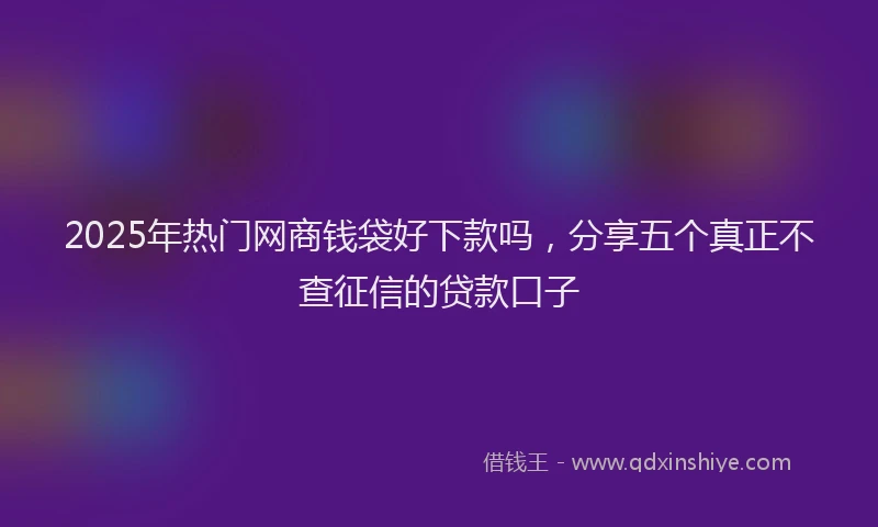 2025年热门网商钱袋好下款吗，分享五个真正不查征信的贷款口子