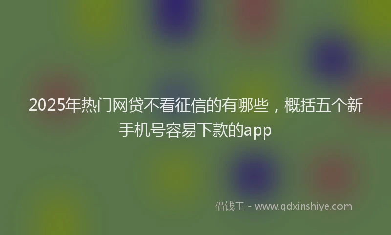 2025年热门网贷不看征信的有哪些，概括五个新手机号容易下款的app