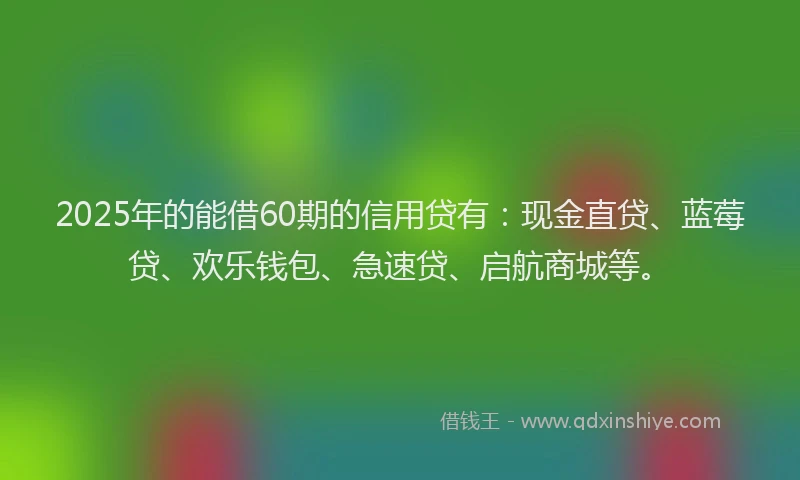 2025年的能借60期的信用贷有：现金直贷、蓝莓贷、欢乐钱包、急速贷、启航商城等。