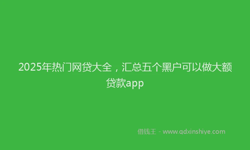 2025年热门网贷大全，汇总五个黑户可以做大额贷款app
