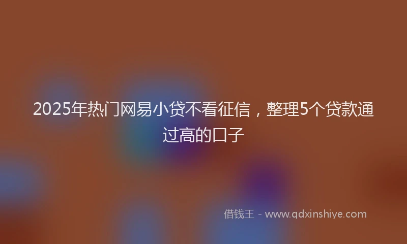 2025年热门网易小贷不看征信，整理5个贷款通过高的口子