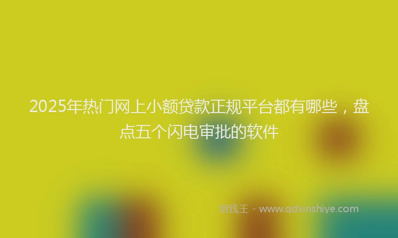 2025年热门网上小额贷款正规平台都有哪些，盘点五个闪电审批的软件