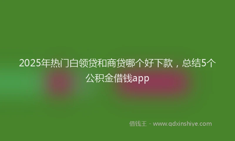 2025年热门白领贷和商贷哪个好下款，总结5个公积金借钱app