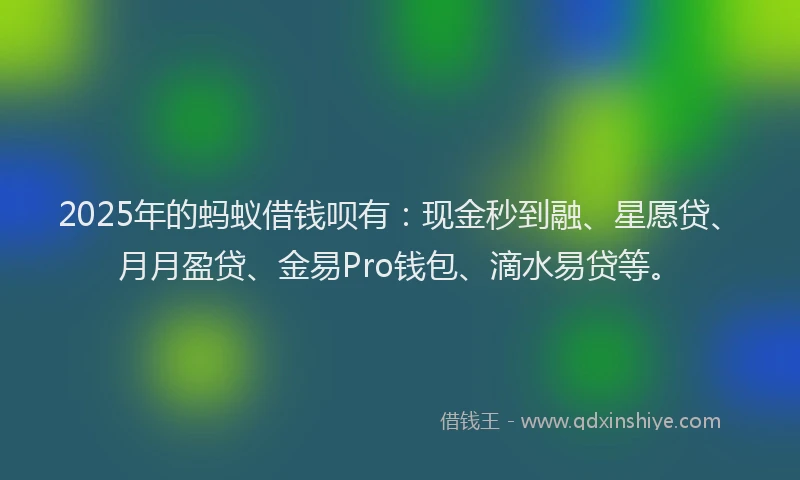2025年的蚂蚁借钱呗有：现金秒到融、星愿贷、月月盈贷、金易Pro钱包、滴水易贷等。