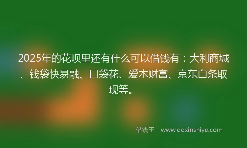 2025年的花呗里还有什么可以借钱有：大利商城、钱袋快易融、口袋花、爱木财富、京东白条取现等。