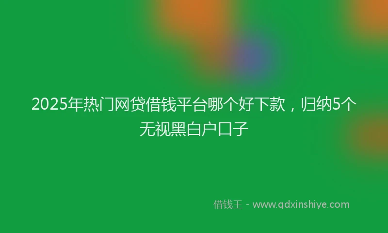 2025年热门网贷借钱平台哪个好下款，归纳5个无视黑白户口子