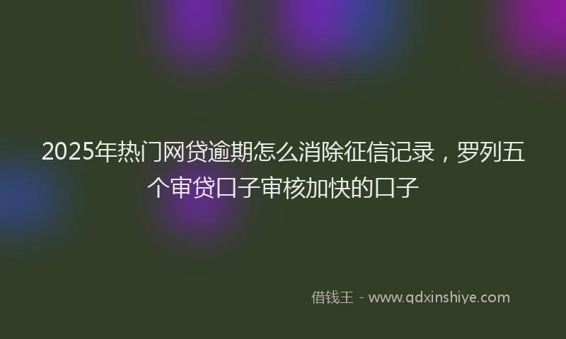 2025年热门网贷逾期怎么消除征信记录，罗列五个审贷口子审核加快的口子