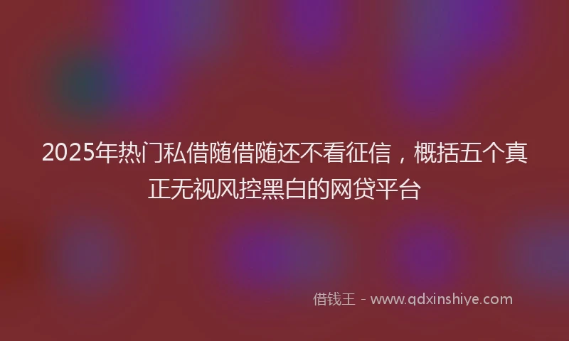 2025年热门私借随借随还不看征信，概括五个真正无视风控黑白的网贷平台