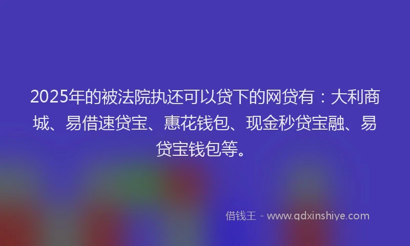 2025年的被法院执还可以贷下的网贷有：大利商城、易借速贷宝、惠花钱包、现金秒贷宝融、易贷宝钱包等。