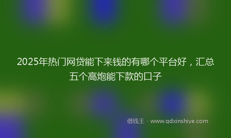 2025年热门网贷能下来钱的有哪个平台好，汇总五个高炮能下款的口子