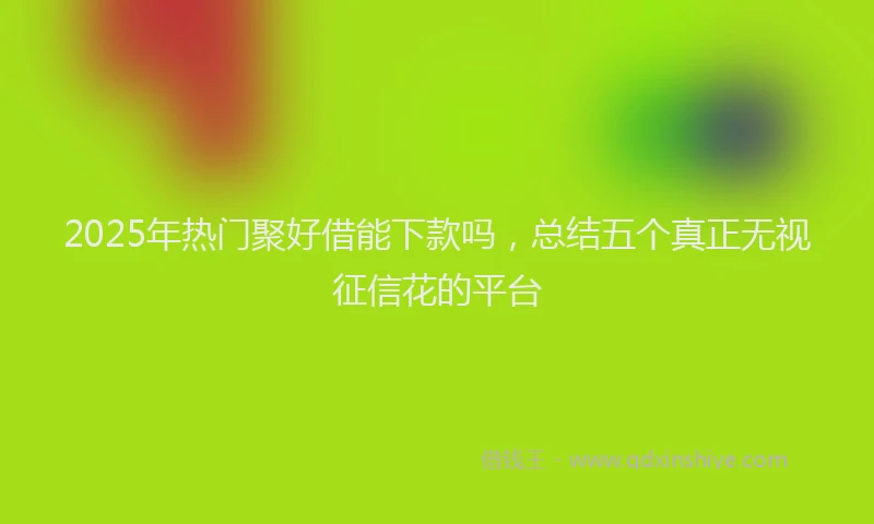 2025年热门聚好借能下款吗，总结五个真正无视征信花的平台