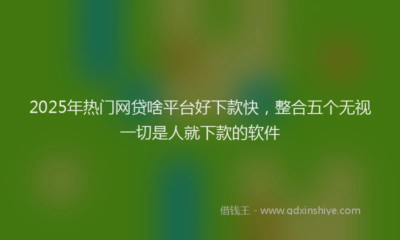 2025年热门网贷啥平台好下款快，整合五个无视一切是人就下款的软件