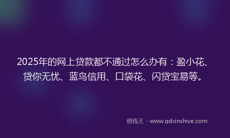 2025年的网上贷款都不通过怎么办有：盈小花、贷你无忧、蓝鸟信用、口袋花、闪贷宝易等。