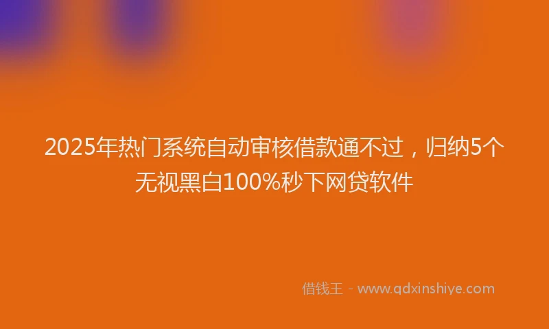 2025年热门系统自动审核借款通不过，归纳5个无视黑白100%秒下网贷软件