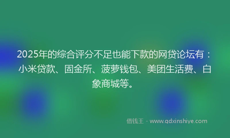 2025年的综合评分不足也能下款的网贷论坛有：小米贷款、固金所、菠萝钱包、美团生活费、白象商城等。