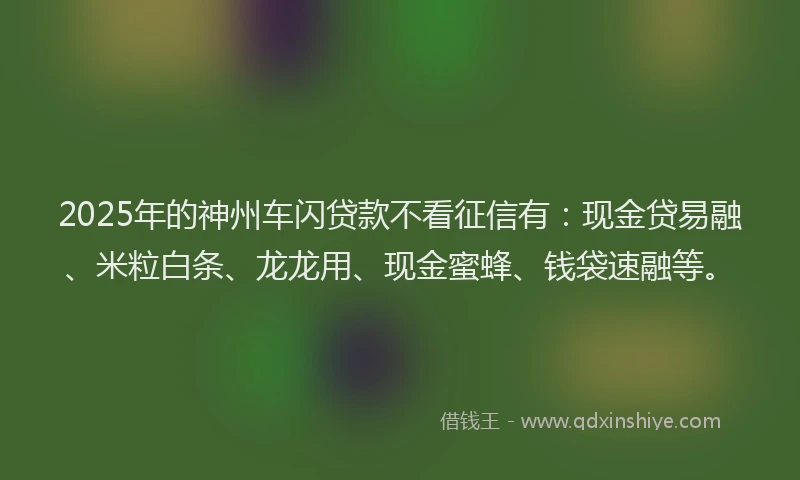 2025年的神州车闪贷款不看征信有：现金贷易融、米粒白条、龙龙用、现金蜜蜂、钱袋速融等。