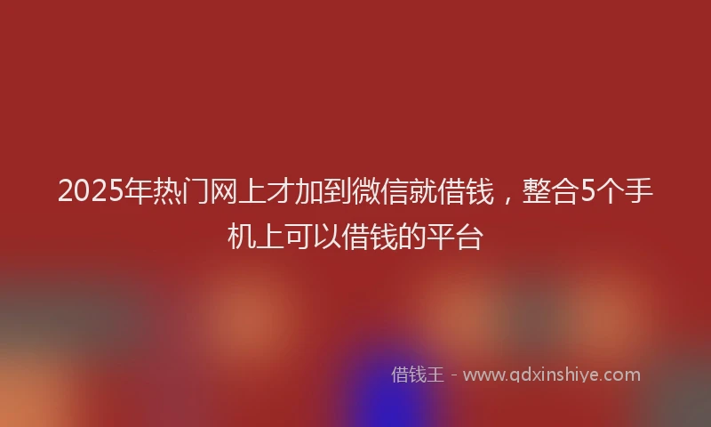 2025年热门网上才加到微信就借钱，整合5个手机上可以借钱的平台