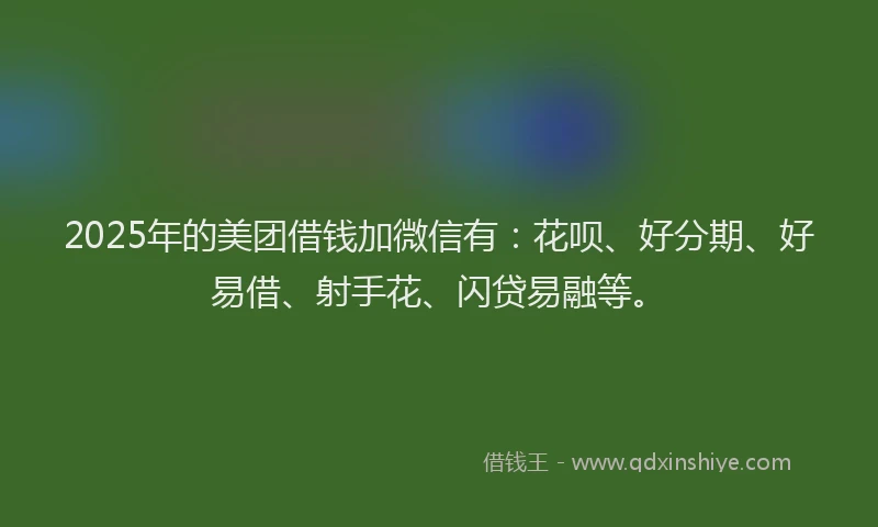 2025年的美团借钱加微信有：花呗、好分期、好易借、射手花、闪贷易融等。