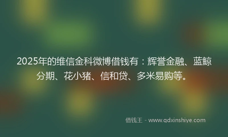 2025年的维信金科微博借钱有：辉誉金融、蓝鲸分期、花小猪、信和贷、多米易购等。