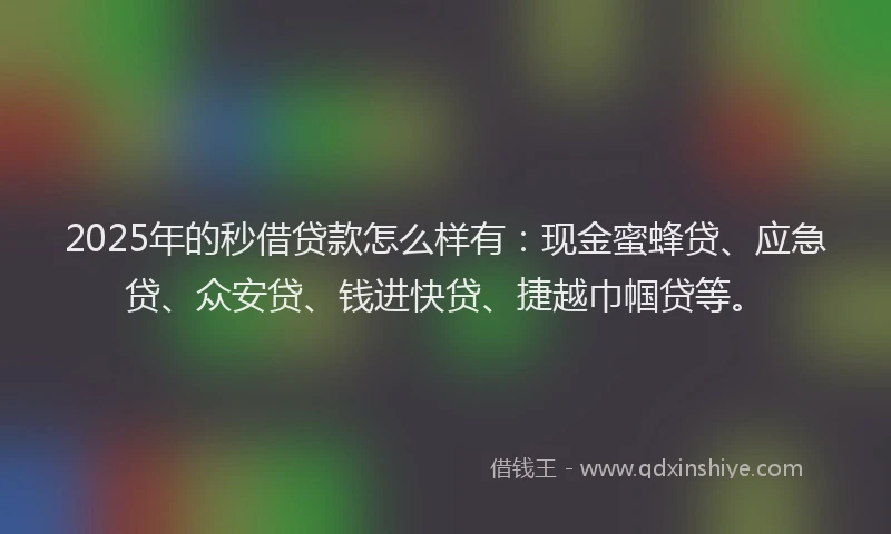 2025年的秒借贷款怎么样有：现金蜜蜂贷、应急贷、众安贷、钱进快贷、捷越巾帼贷等。